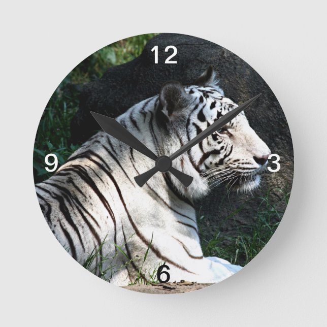 Horloge Ronde Tigre blanc (Recto)