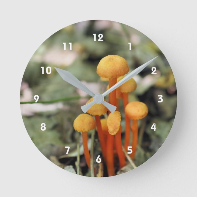 Horloge Ronde Tiny Wild Orange Mushrooms Nature (Recto)