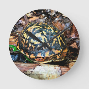 Horloge Ronde Tortue dans la forêt, Chester, South Carolina Post