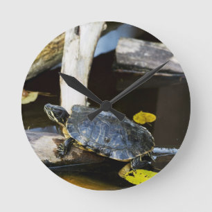 Horloge Ronde Tortue de glisseur d'étang dans le sauvage