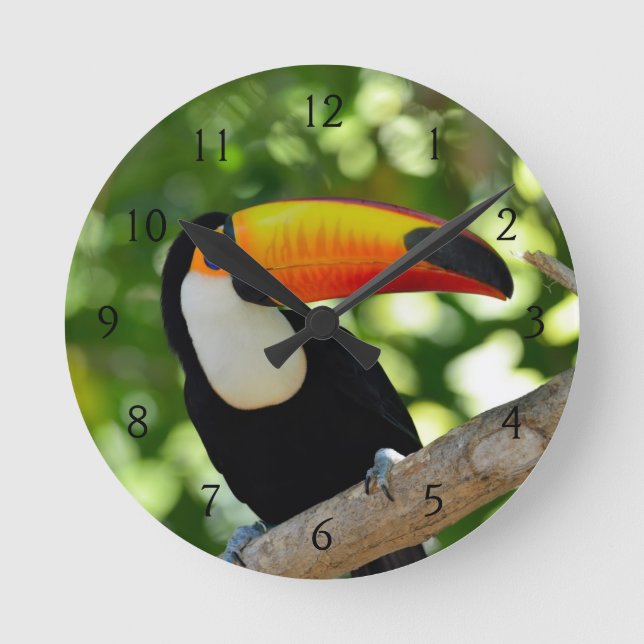 Horloge Ronde Toucan (Recto)