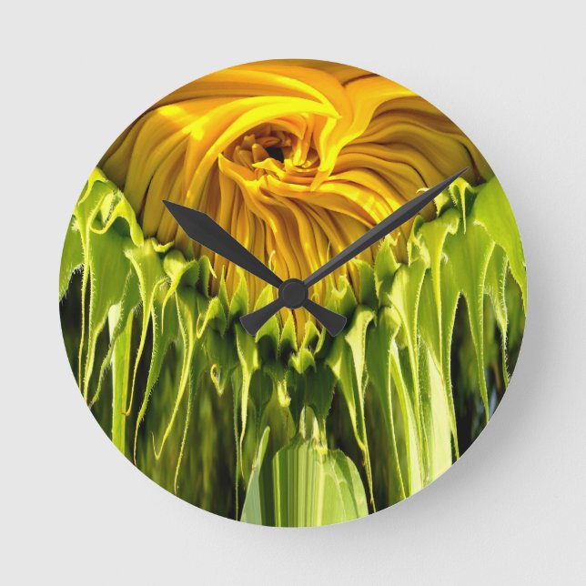Horloge Ronde Tourbillon de tournesol (Recto)