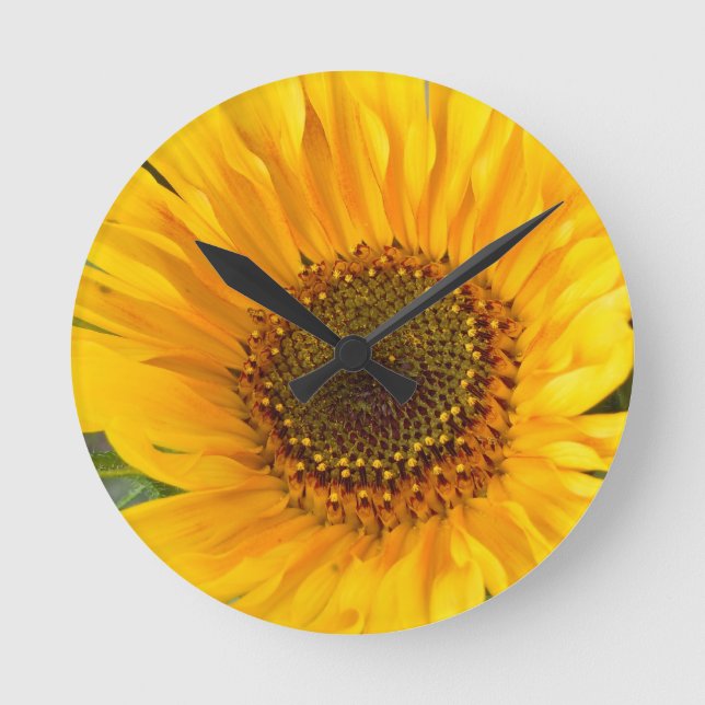Horloge Ronde Tournesol (Recto)