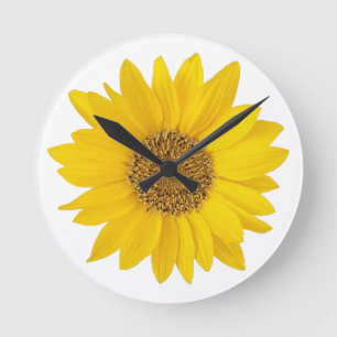 Horloge Ronde Tournesol jaune vif sur Arrière - plan blanc