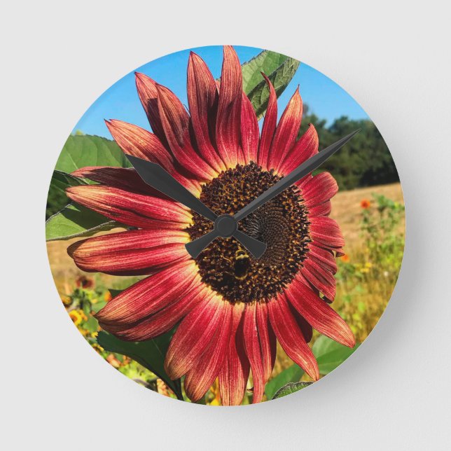 Horloge Ronde Tournesol rouge (Recto)