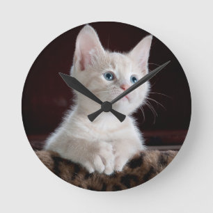 Horloge Ronde Très Mignon Chat Blanc