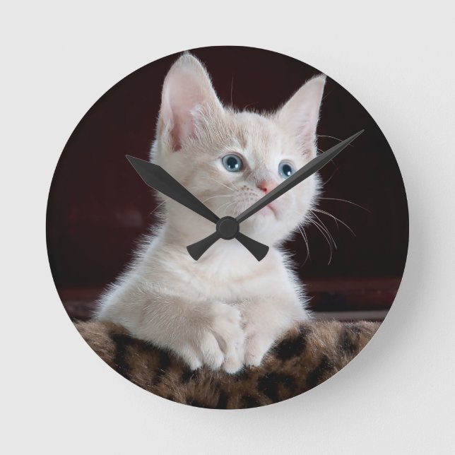 Horloge Ronde Très Mignon Chat Blanc (Recto)