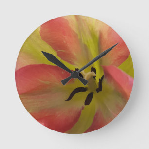 Horloge Ronde Tulipe rose et jaune