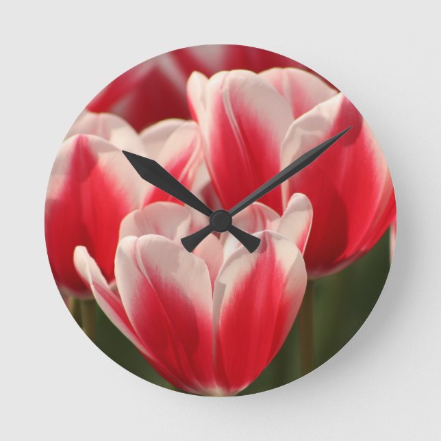 Horloge Ronde Tulipes rouges et blanches (Recto)