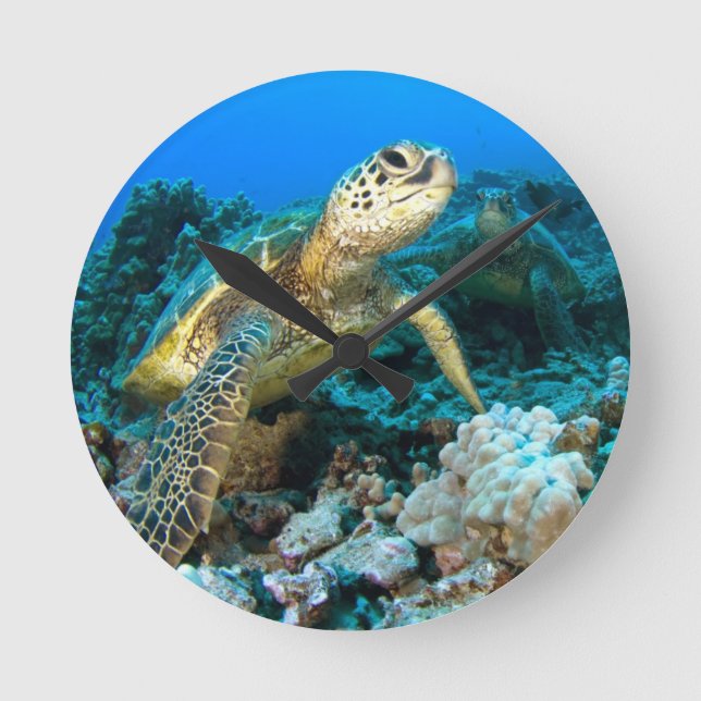 Horloge Ronde Turtle Pair (Recto)