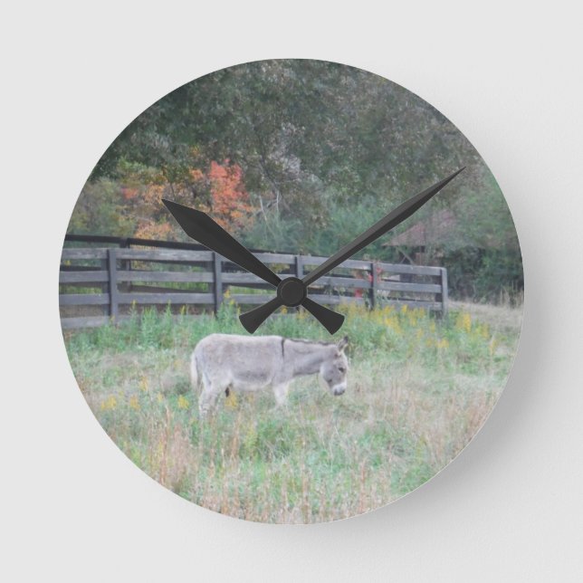 Horloge Ronde Un âne dans un champ d'automne. (Recto)