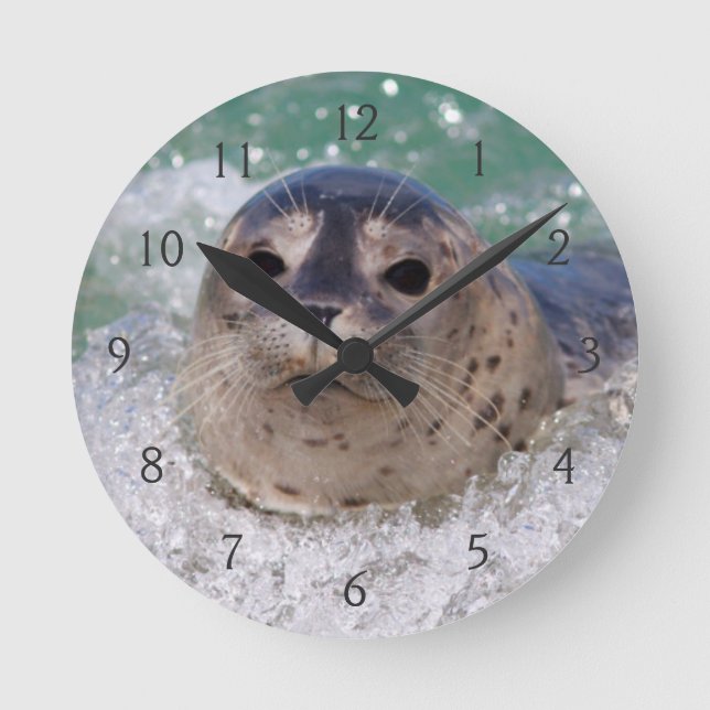 Horloge Ronde Un bébé phoque surfant (Recto)