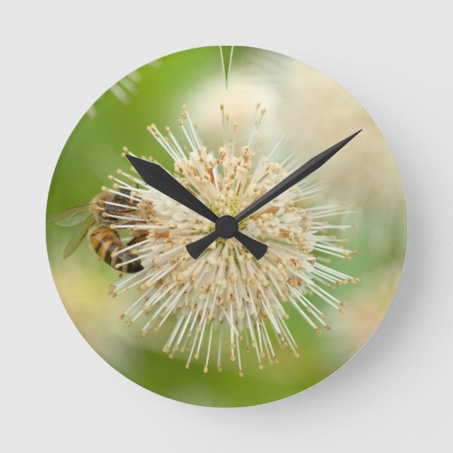 Horloge Ronde Une abeille sur une fleur (Recto)