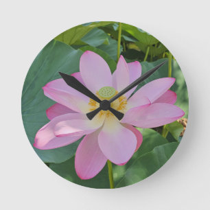 Horloge Ronde Une fleur de lotus vibrante