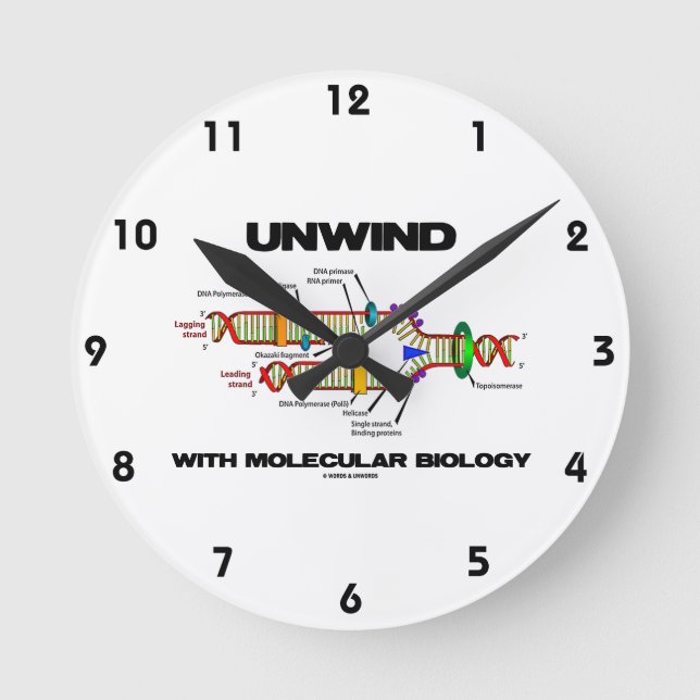 Horloge Ronde Unwind With (Recto)