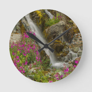 Horloge Ronde USA, Alaska, Glacier Bay National Park. Armes à fe