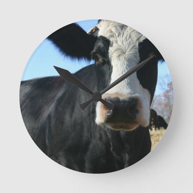 Horloge Ronde Vache folle (Recto)