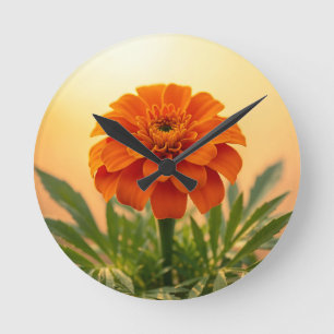 Horloge Ronde Vibrante Fleur de Tagète Orange au Coucher de Sole