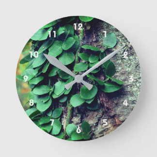 Horloge Ronde Vigne verte feuillue qui pousse sur le tronc d'arb