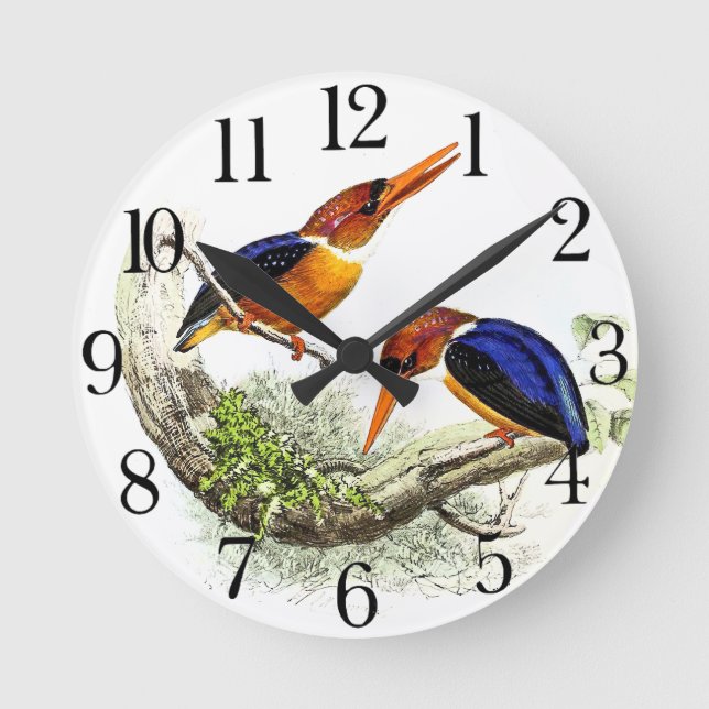 Horloge Ronde Vintage Kingfisher Bird Wildlife Animal Wall Clock (Recto)
