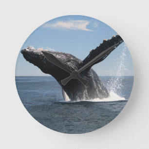 Horloge Ronde Violation adulte de baleine de bosse