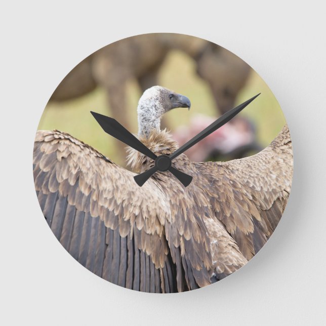 Horloge Ronde Vulture (Recto)