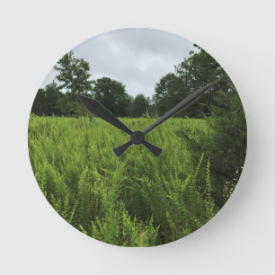 Horloge Ronde Walking in the Forest, Chester, Caroline du Sud Ca