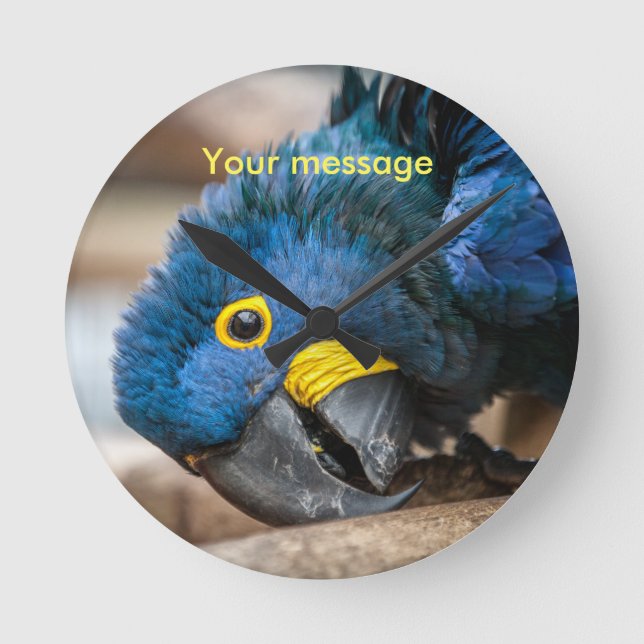 Horloge Ronde Wall clock featuring cute Hyacinth Macaw parrot (Recto)