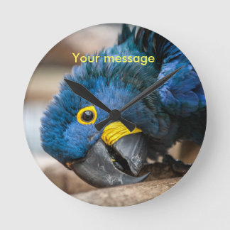 Horloge Ronde Wall clock featuring cute Hyacinth Macaw parrot