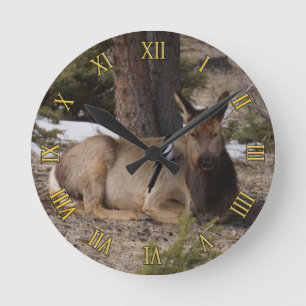 Horloge Ronde Wapiti (Elk) & Magpie
