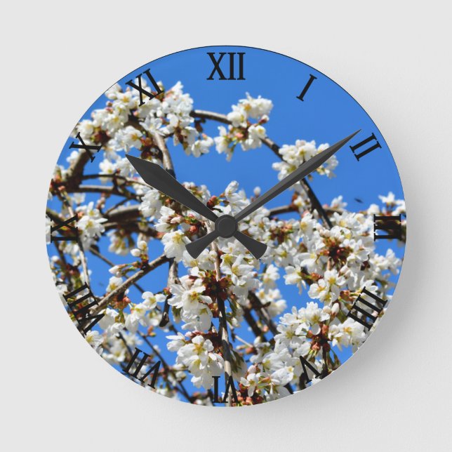 Horloge Ronde White flowering spring blossom, cherry tree (Recto)