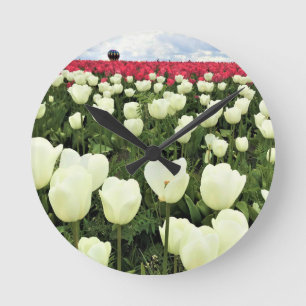 Horloge Ronde White & Pink Tulip Field, Oregon