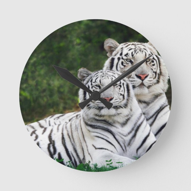Horloge Ronde White Tigers (Recto)