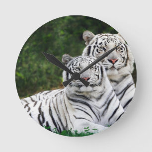 Horloge Ronde White Tigers