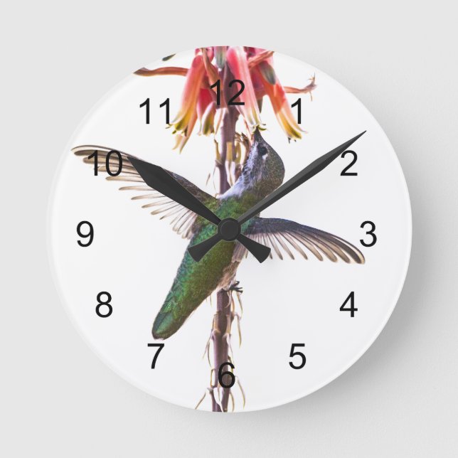 Horloge Ronde Wings de Hummingbird (Recto)
