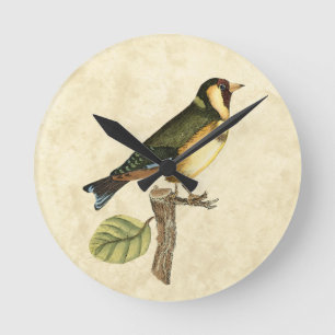 Horloge Ronde Yellow and Green Bird Perched on a Little Branch