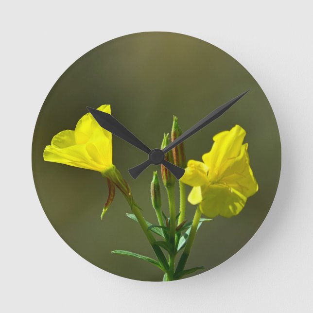 Horloge Ronde Yellow evening primrose (Recto)