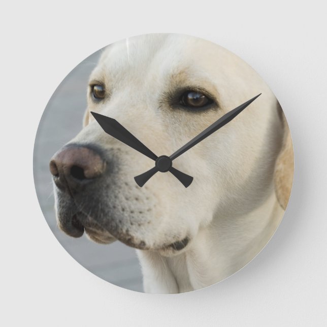 Horloge Ronde Yellow lab clock (Recto)