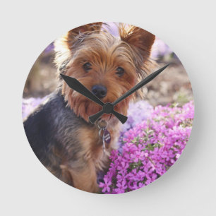 Horloge Ronde Yorkshire Terrier
