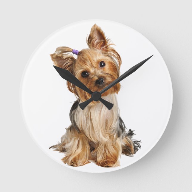 Horloge Ronde Yorkshire Terrier Puppy (Recto)