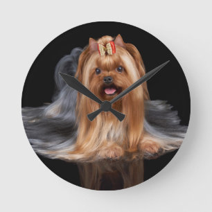 Horloge Ronde Yorkshire Terrier sur le noir