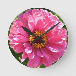Horloge Ronde Zinnia rose