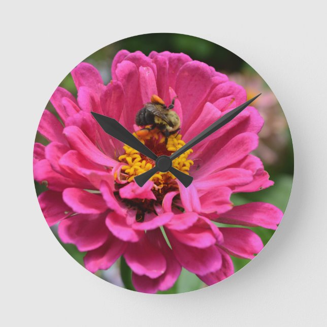 Horloge Ronde Zinnia rose et Bumble bee (Recto)