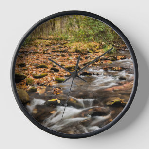 Horloge Ruisseau Cataloochee NC Grandes Montagnes fumées