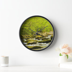 Horloge Ruisseau Rugissant au printemps