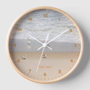 Horloge Sandpipers dans la plage tropicale ensoleillée