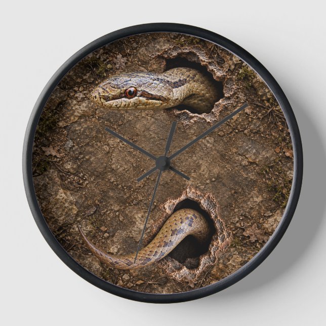 Horloge Serpent lisse émergeant de trous rocheux Faune (Recto)