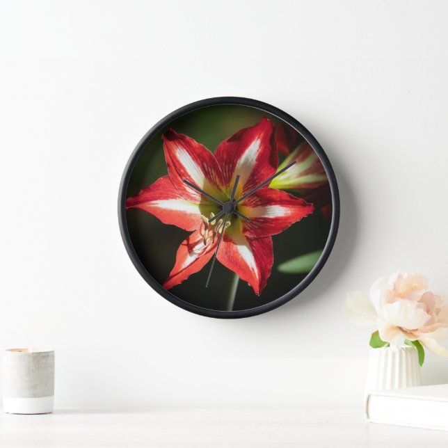 Horloge Shards of Red: Hibiscus at the Summit of Phongsaly (Maison)