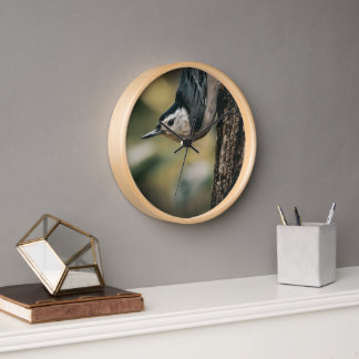 Horloge Sittelle