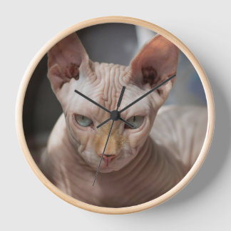 Horloge The Bold Cat – Artistic Wall Clock for Cat Lovers